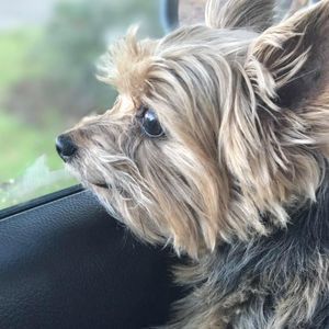 Meet your Posher, Sally